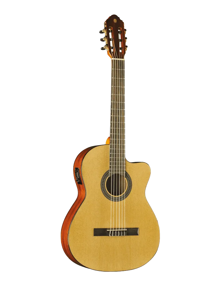 EKO VIBRA150CW | MusicGoodDeal