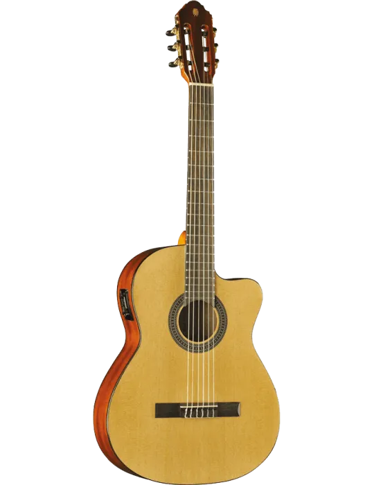 EKO VIBRA150CW | MusicGoodDeal