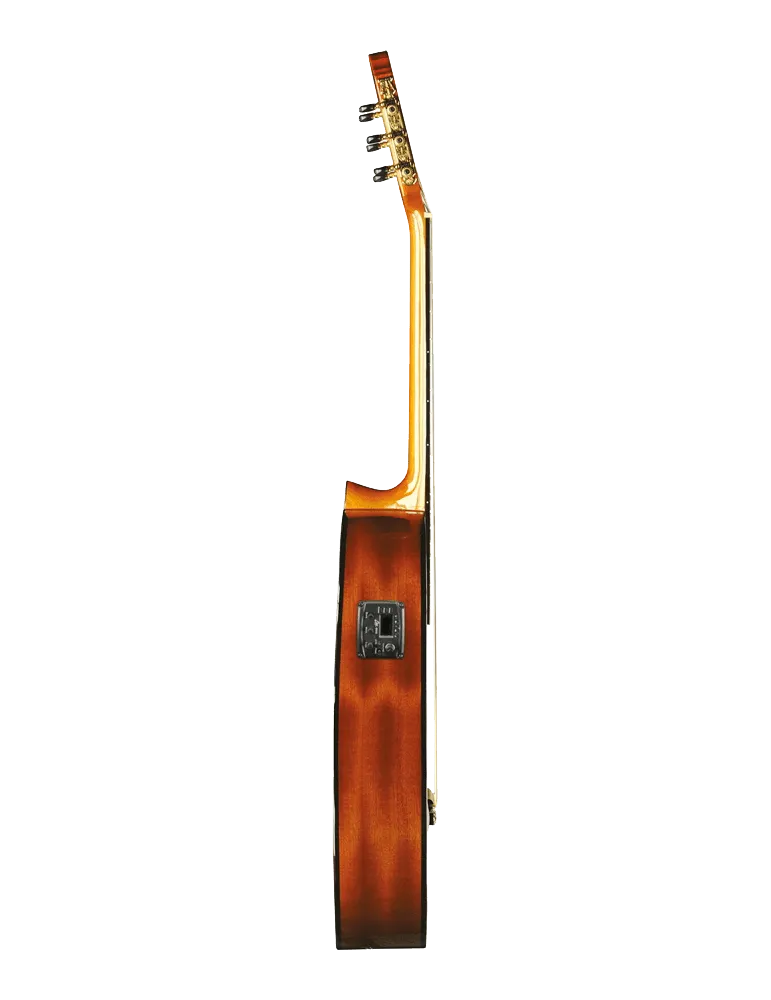 EKO VIBRA150CW | MusicGoodDeal