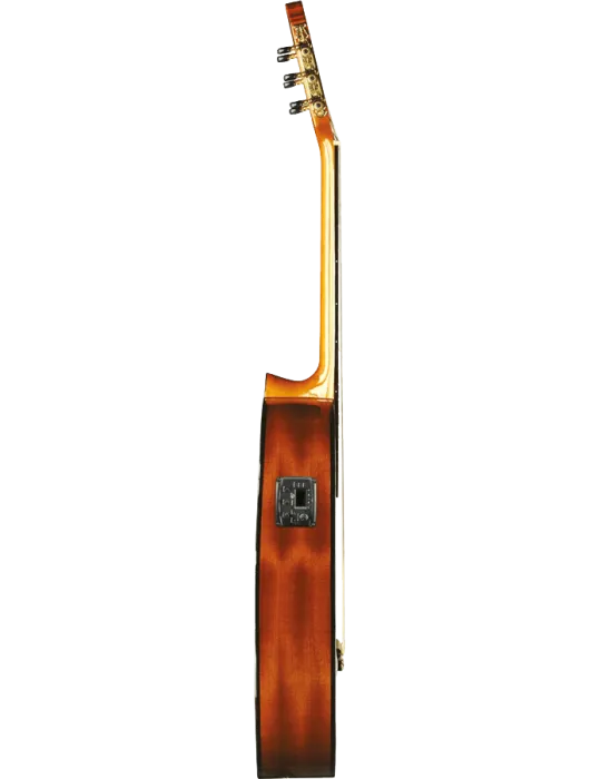 EKO VIBRA150CW | MusicGoodDeal