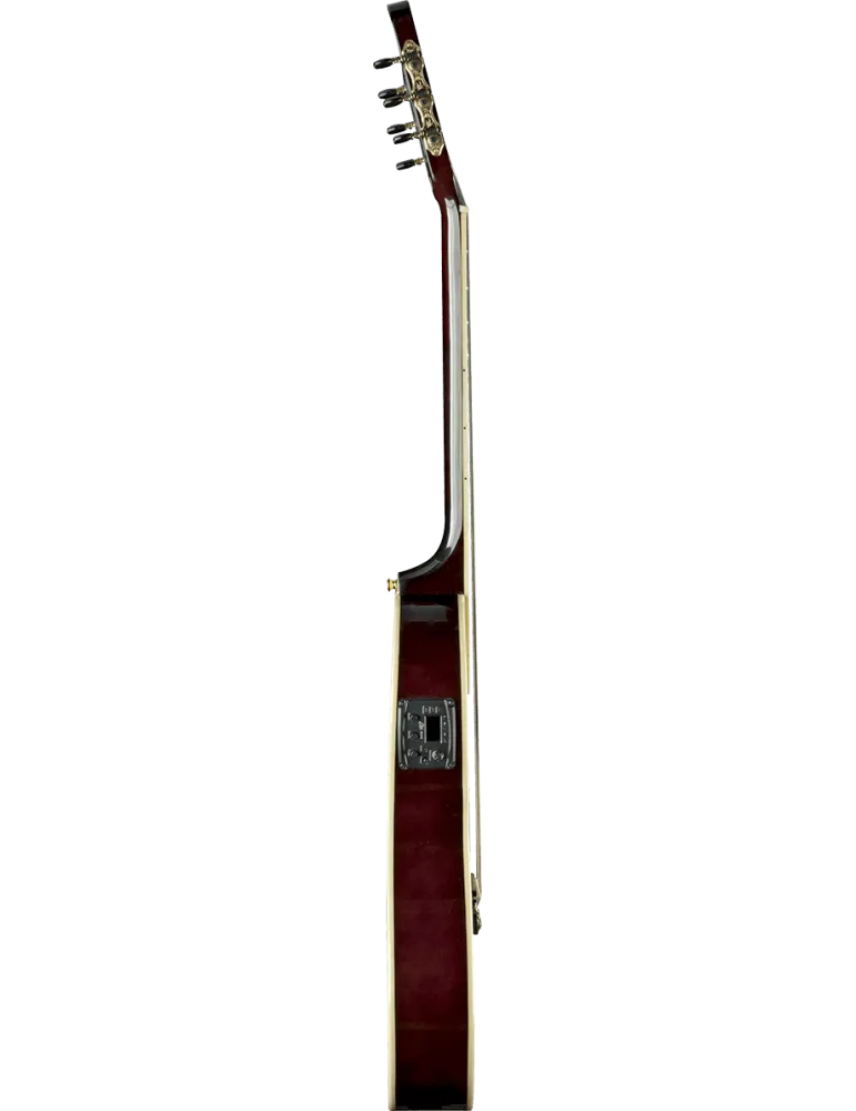 EKO NXT-N100CWE-NAT | MusicGoodDeal