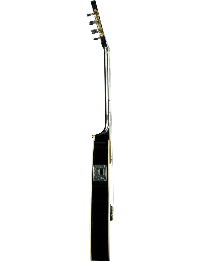 EKO NXT-N100CWE-BLK | MusicGoodDeal