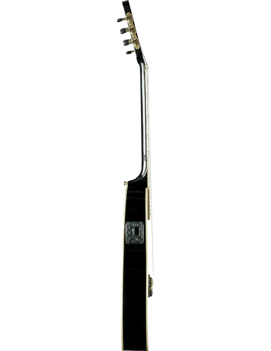 EKO NXT-N100CWE-BLK | MusicGoodDeal
