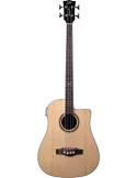 EKO NXT-B100CWE-NAT | MusicGoodDeal