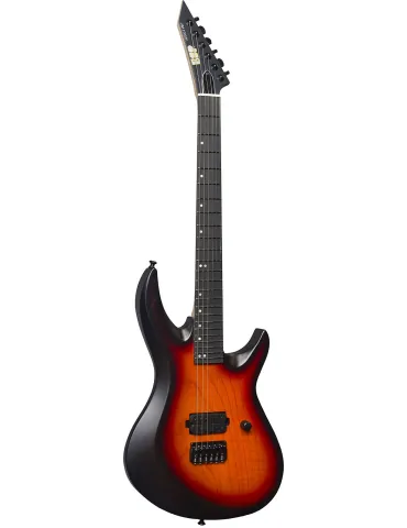 ESP EUS1HDXIHTASHRB19S14 | MusicGoodDeal