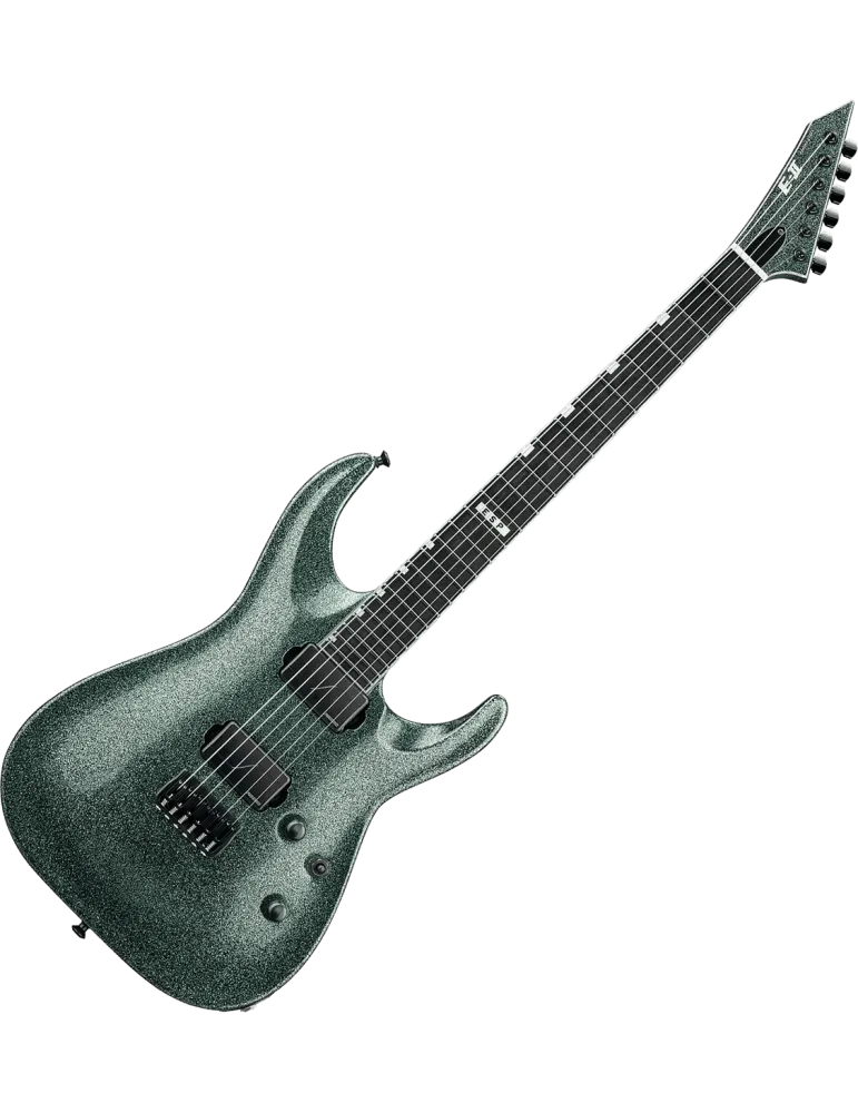 ESP 2HORNTHS-GNSP | MusicGoodDeal