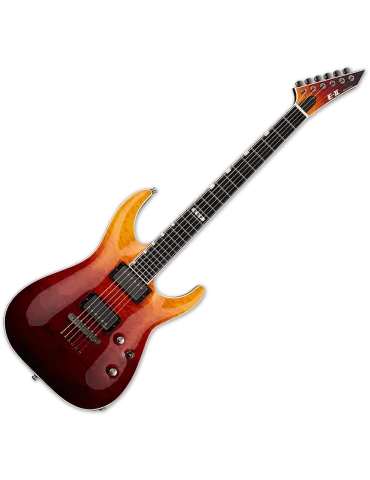  ESP 2HORNTII-TEAFD Horizont NT-II - Braun abgestuft|MusicGoodDeal  2