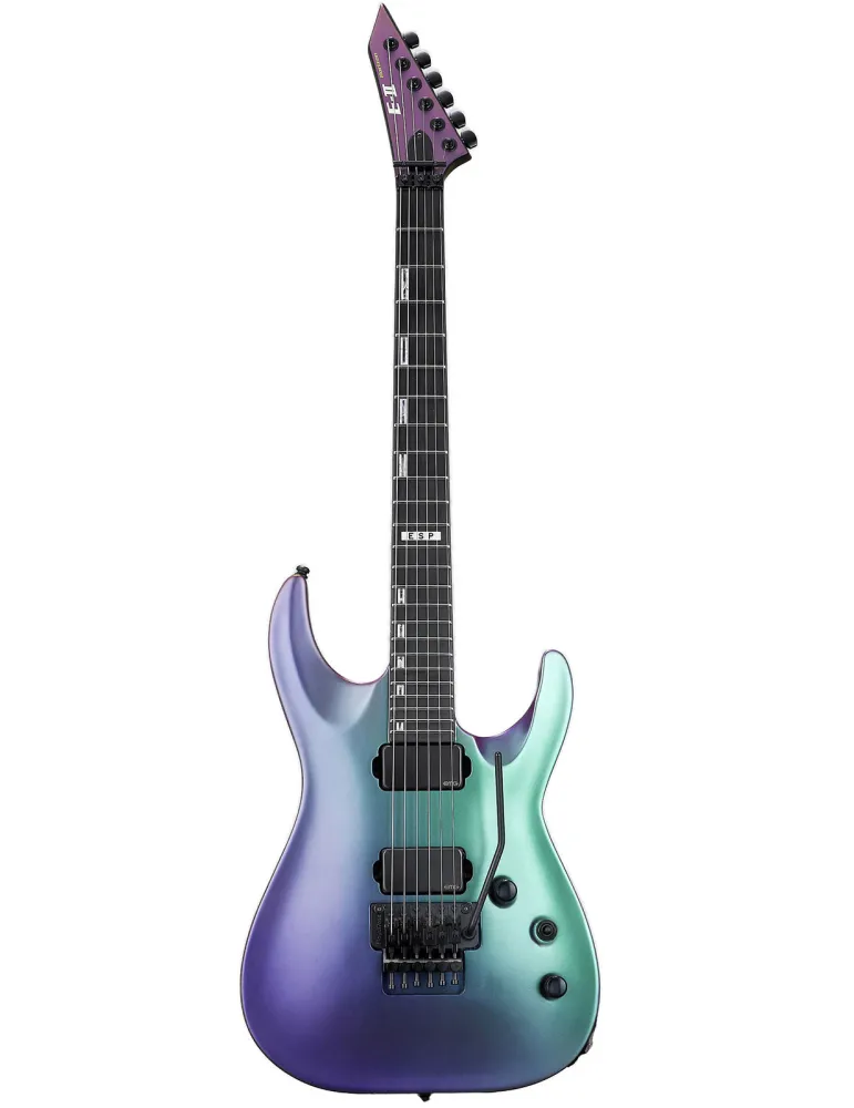 ESP 2HORFRRH-ANDIIS | MusicGoodDeal