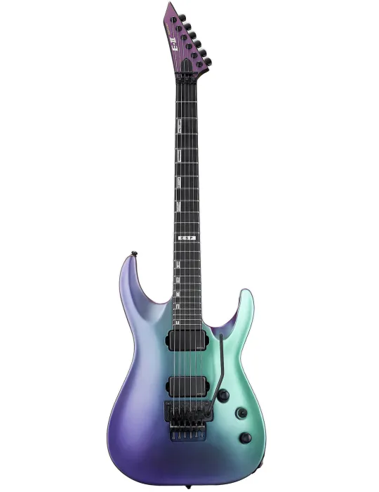 ESP 2HORFRRH-ANDIIS | MusicGoodDeal