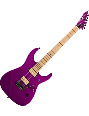 ESP 2MIIHSTP-VDPR | MusicGoodDeal 2