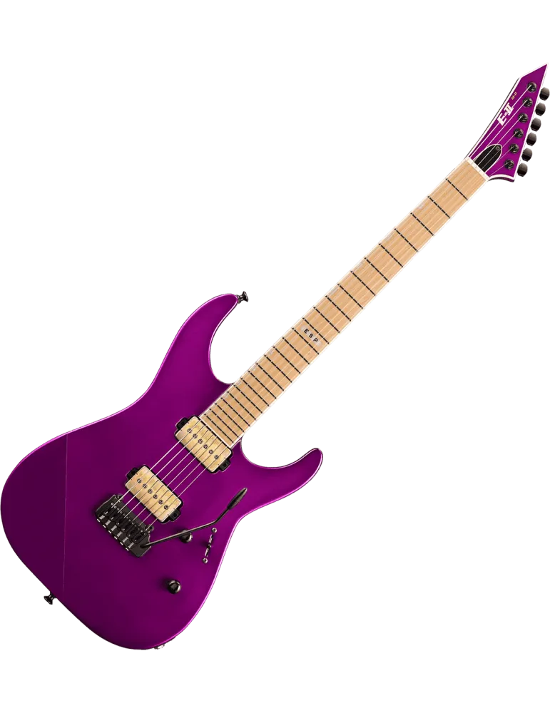 ESP 2MIIHSTP-VDPR | MusicGoodDeal