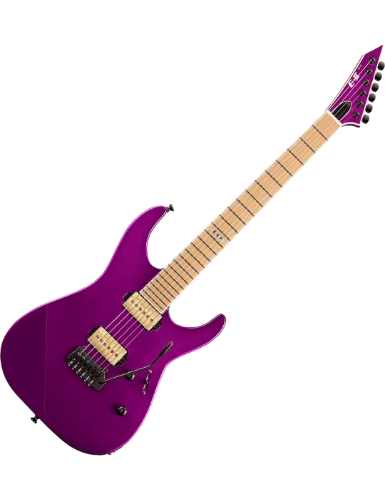 ESP 2MIIHSTP-VDPR | MusicGoodDeal