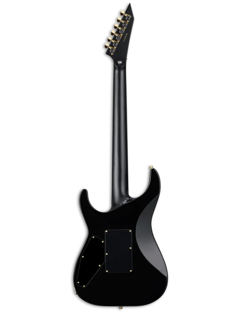 ESP 2MIIQM-BLKNB | MusicGoodDeal