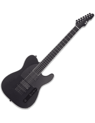 ESP 2TB7-BKS | MusicGoodDeal 2