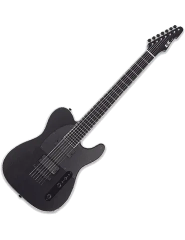 ESP 2TB7-BKS | MusicGoodDeal 2