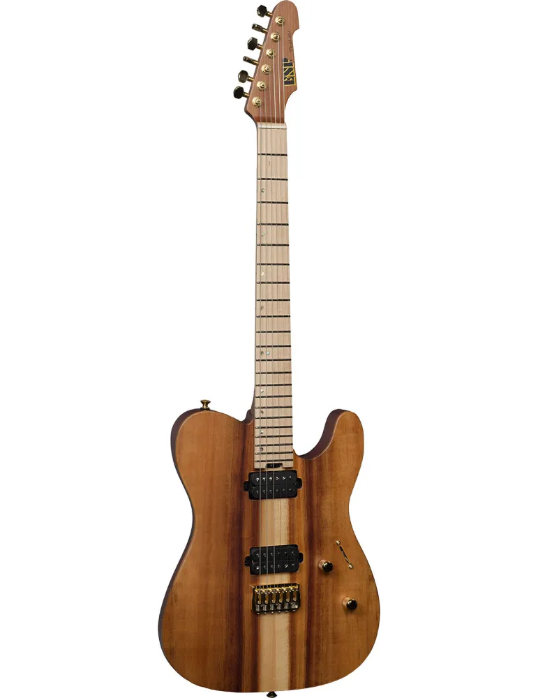ESP EUSTE2HTKOAMG67S2 | MusicGoodDeal