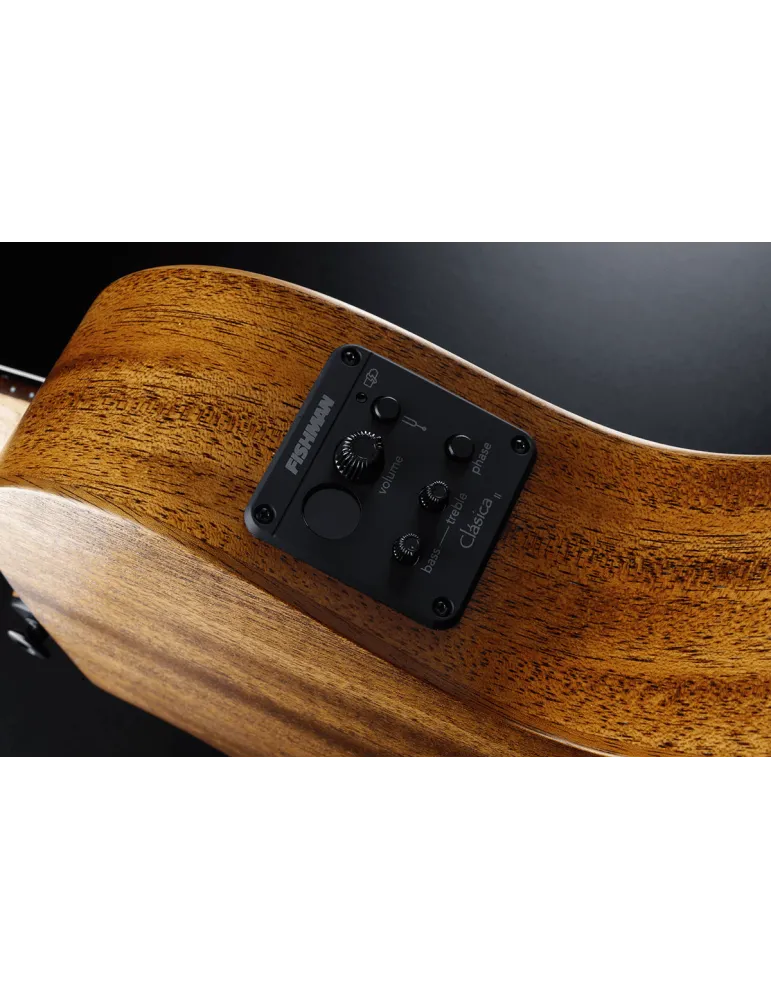 LÂG TN170ASCE | MusicGoodDeal