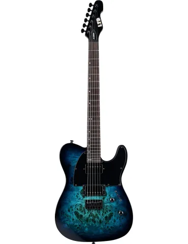 LTD TE200DX-BLB | MusicGoodDeal