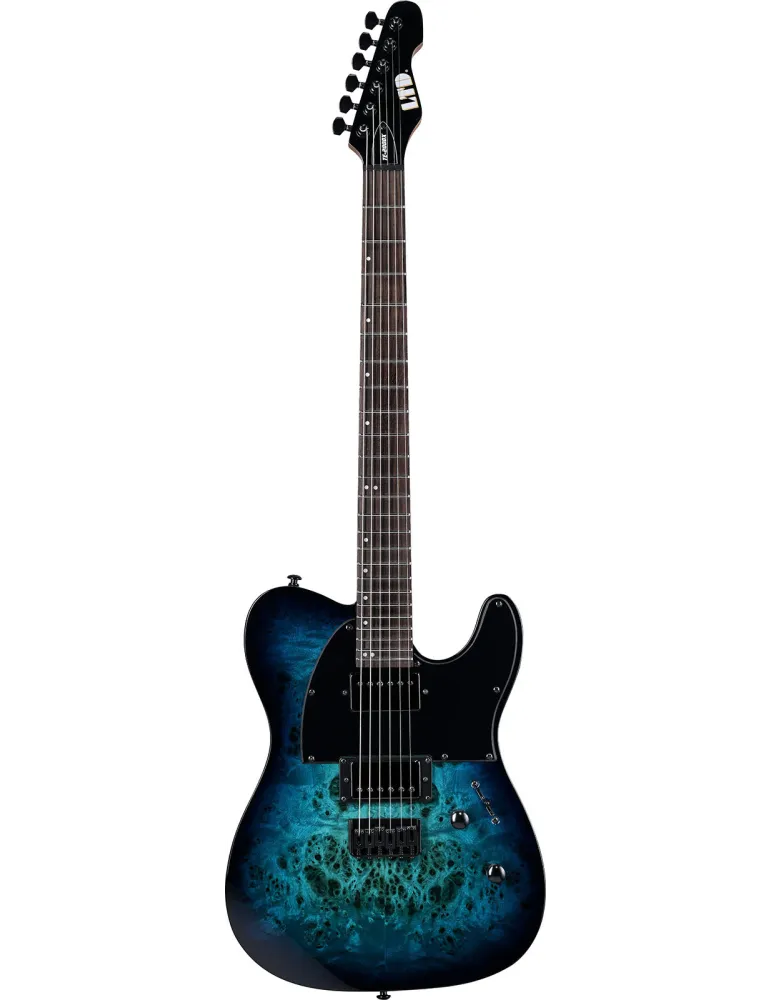 LTD TE200DX-BLB | MusicGoodDeal