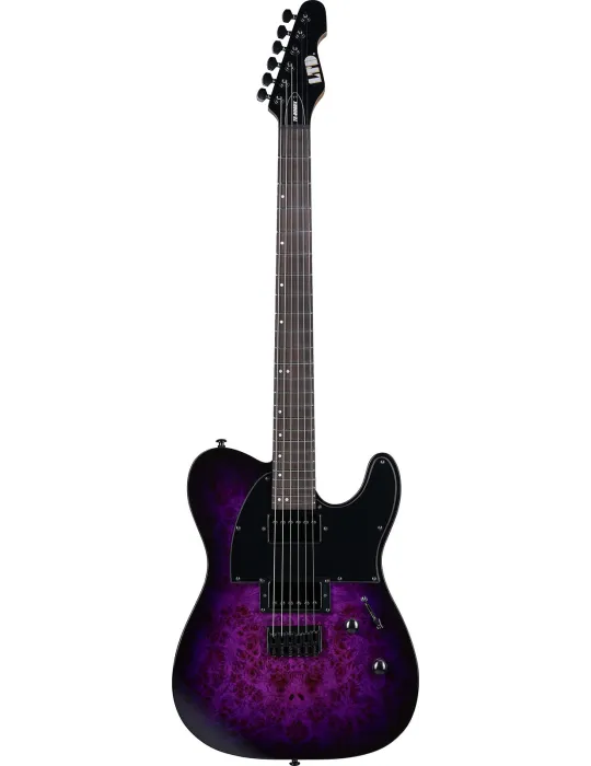 LTD TE200DX-PRB | MusicGoodDeal