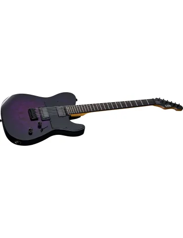 LTD TE200DX-PRB | MusicGoodDeal 2