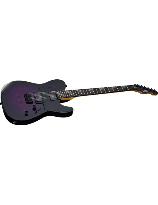 LTD TE200DX-PRB | MusicGoodDeal
