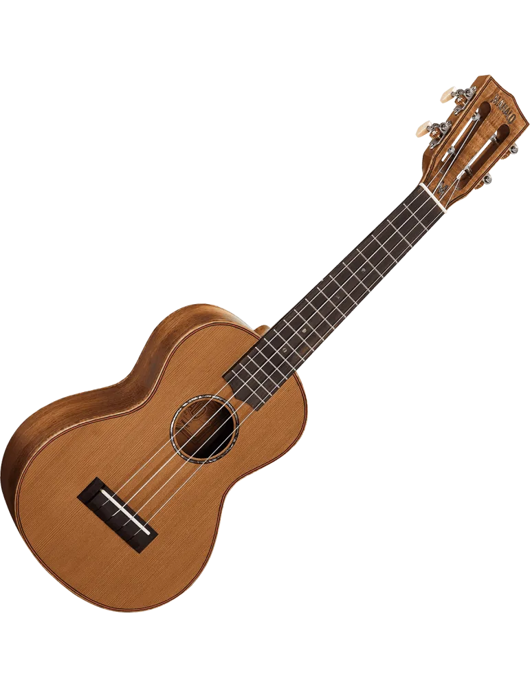 MAHALO MM2 | MusicGoodDeal