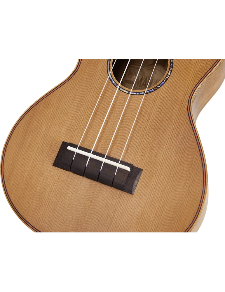 MAHALO MM2 | MusicGoodDeal