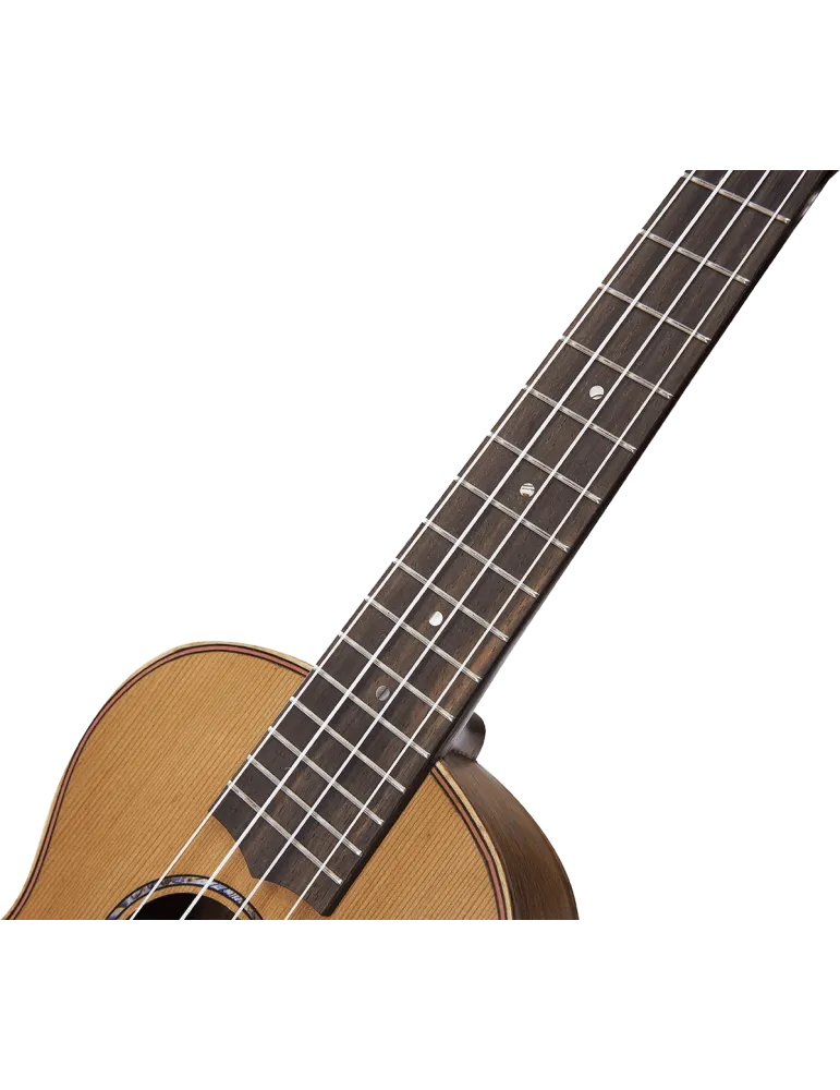MAHALO MM2 | MusicGoodDeal