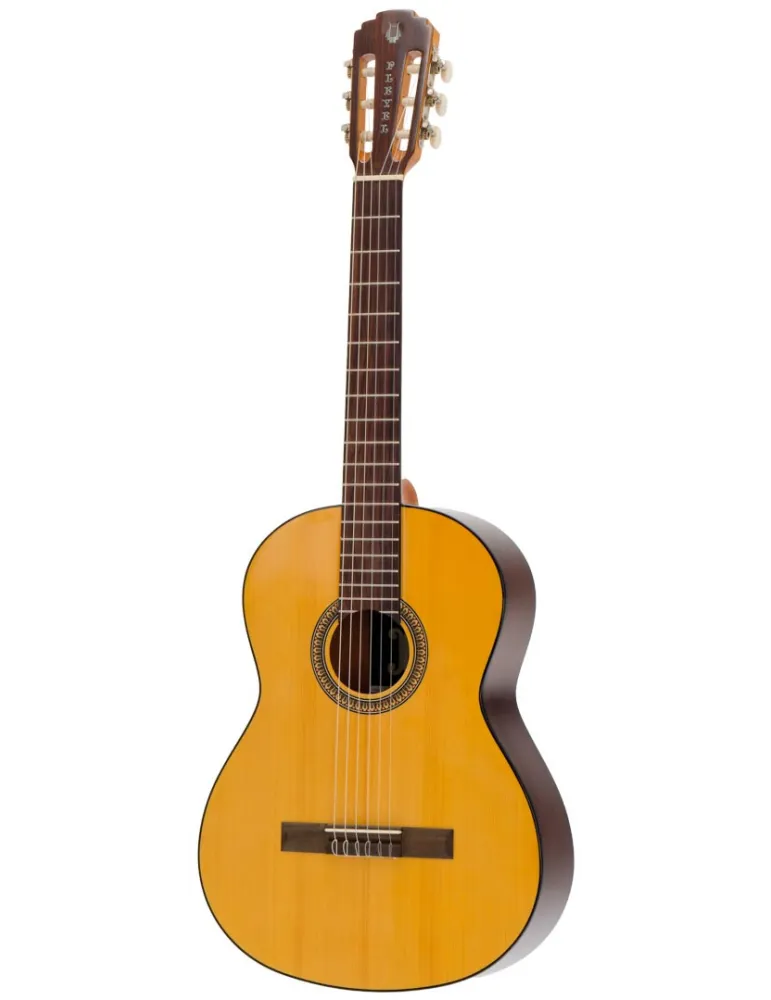 PLEYEL P100 | MusicGoodDeal