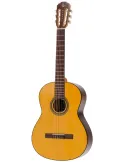 PLEYEL P100 | MusicGoodDeal