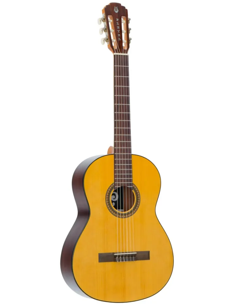 PLEYEL P100 | MusicGoodDeal