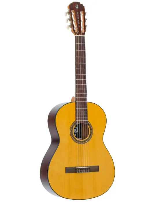 PLEYEL P100 | MusicGoodDeal