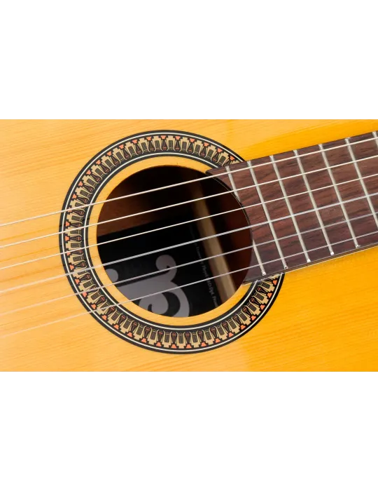 PLEYEL P100 | MusicGoodDeal