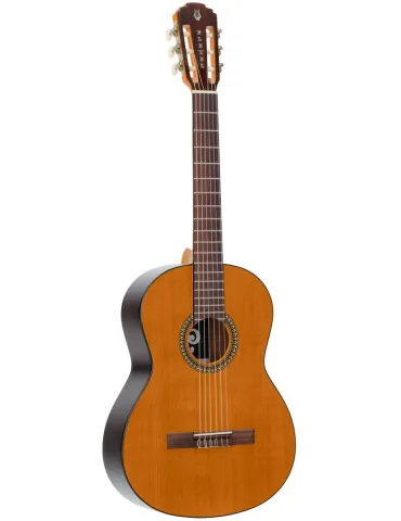 PLEYEL P200 | MusicGoodDeal