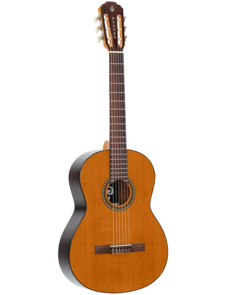 PLEYEL P200 | MusicGoodDeal