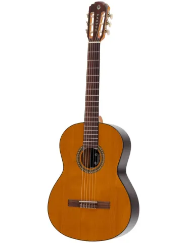 PLEYEL P200 | MusicGoodDeal 2