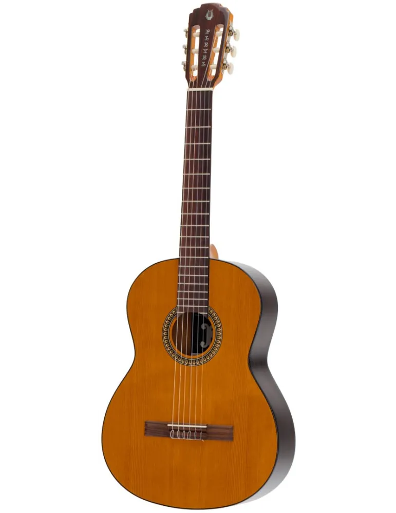 PLEYEL P200 | MusicGoodDeal