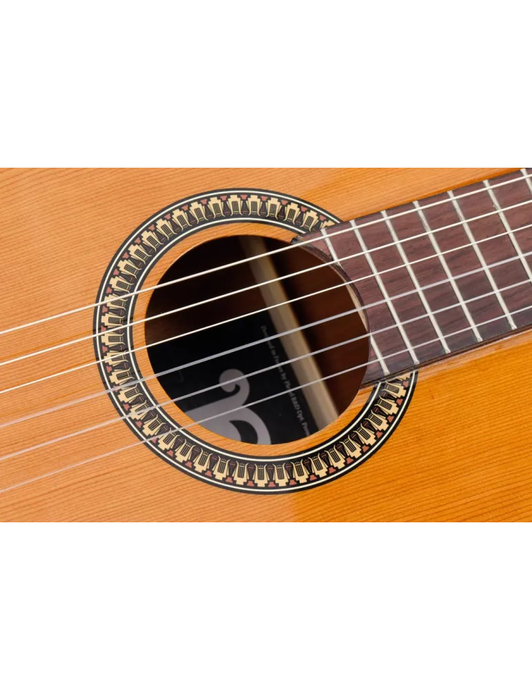 PLEYEL P200 | MusicGoodDeal