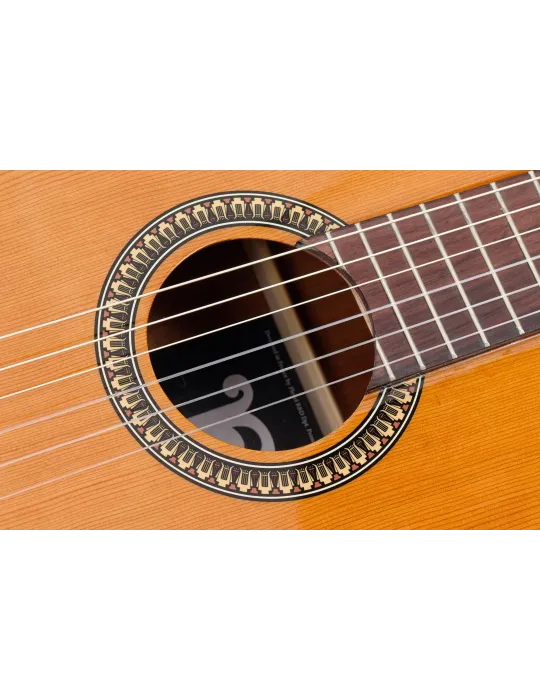 PLEYEL P200 | MusicGoodDeal