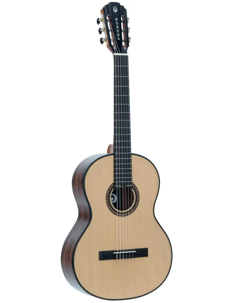 PLEYEL P800 | MusicGoodDeal