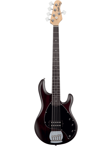 STERLING BY MUSIC MAN RAY5-WS-R1 | MusicGoodDeal