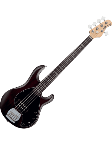 STERLING BY MUSIC MAN RAY5-WS-R1 | MusicGoodDeal 2