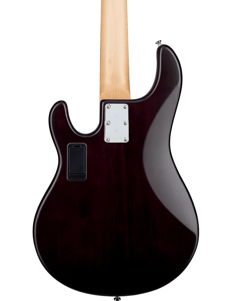 STERLING BY MUSIC MAN RAY5-WS-R1 | MusicGoodDeal