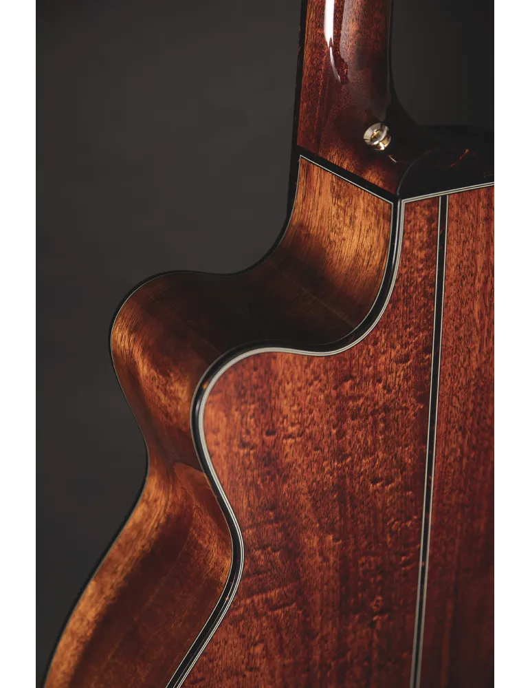 TAKAMINE LTD2025 | MusicGoodDeal