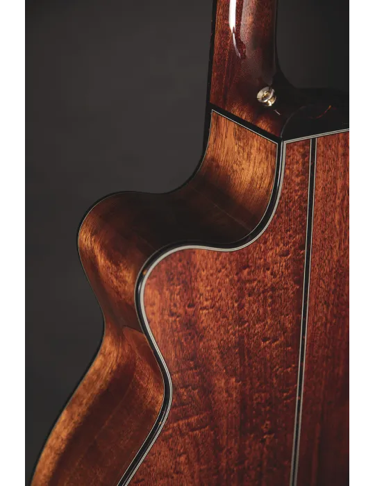 TAKAMINE LTD2025 | MusicGoodDeal