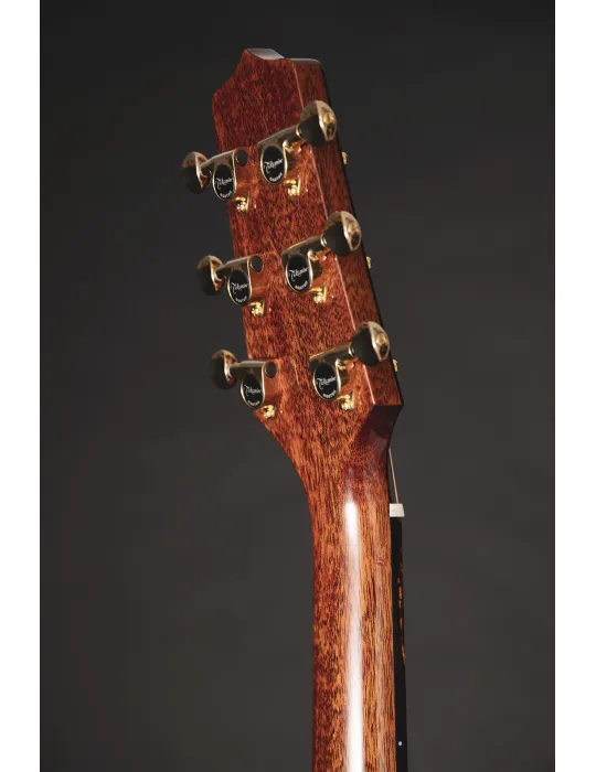 TAKAMINE LTD2025 | MusicGoodDeal
