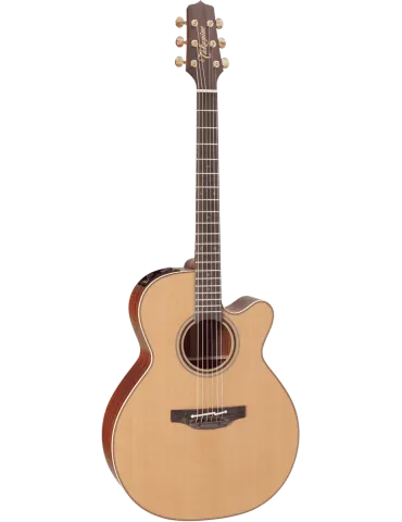 TAKAMINE P3NC | MusicGoodDeal