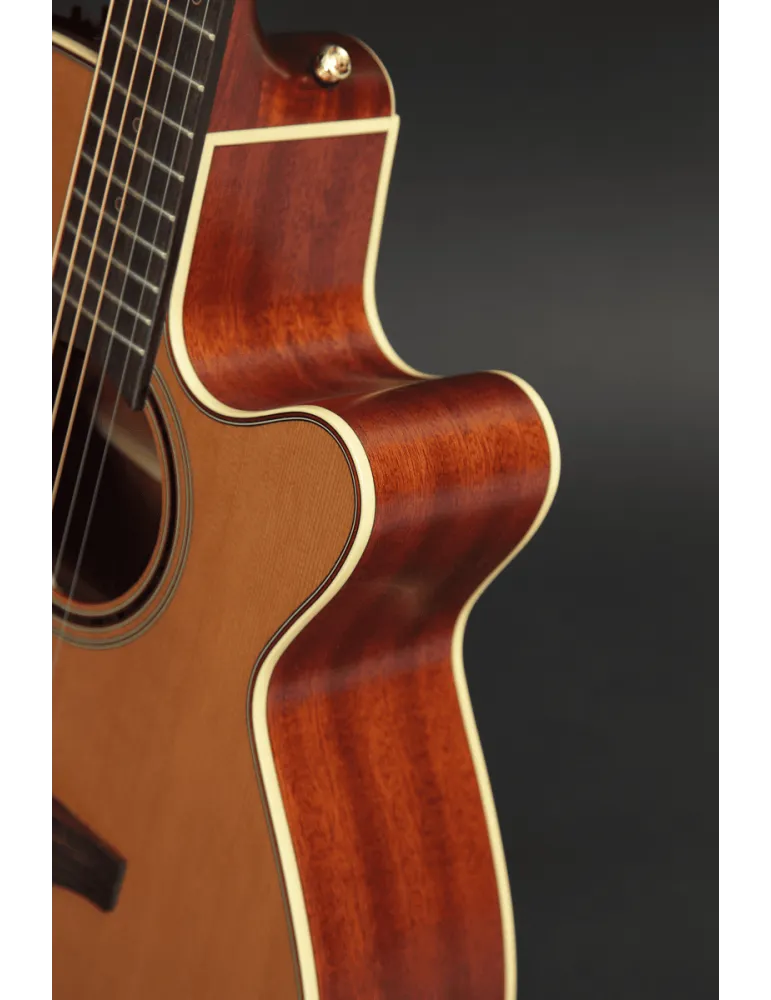 TAKAMINE P3NC | MusicGoodDeal