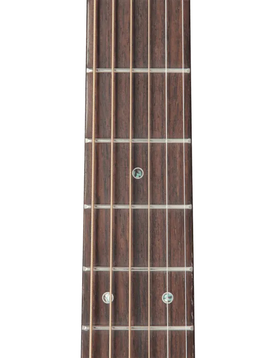 TAKAMINE P5NC | MusicGoodDeal